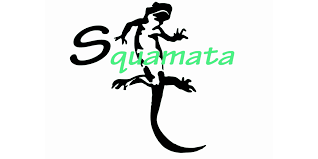 Logo Squamata
